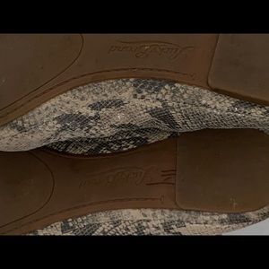 Lucky Brand Shoes - Lucky Brand Emmie Snake Flat 7.5 Ballet Gray Lucky Brand Shoes - Lucky Brand Emmie Snake Flat 7.5 Ballet Gray